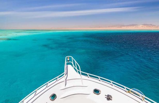 Snorkeling with Dolphins & Lunch In Sataya Reefs From Marsa Alam