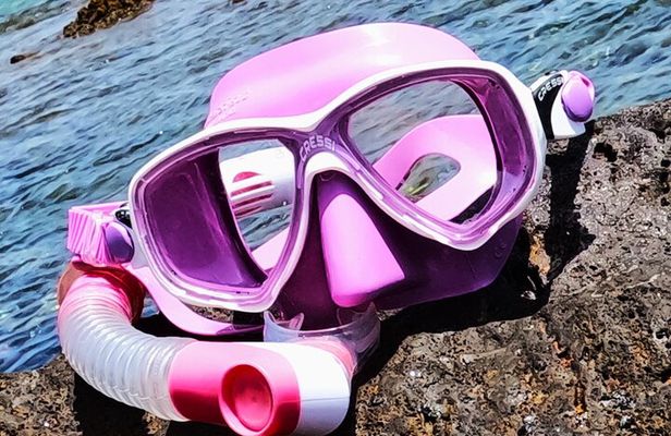 Snorkeling with a Professional Instructor in Tenerife