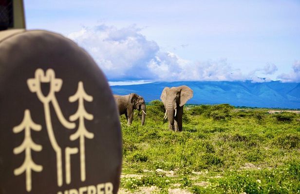  5-Day Mid-Range Safari in Tanzania