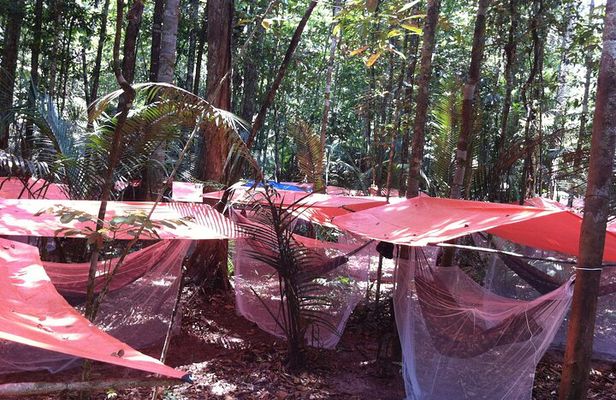 Dinner and Overnight in the Jungle in Manaus