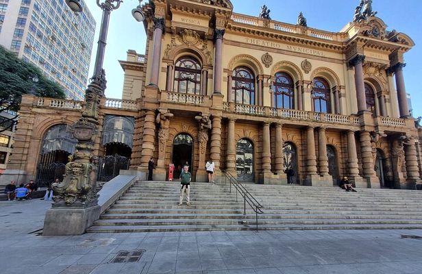 São Paulo 5 Hour Private Tour With Fruit Tasting