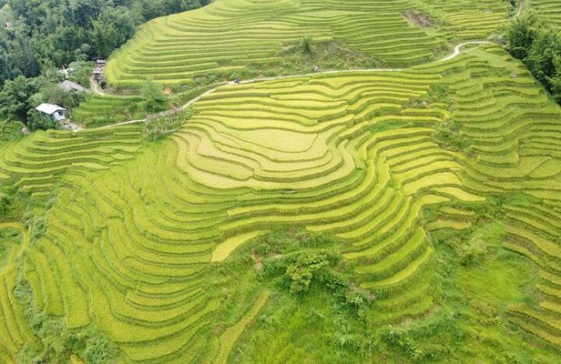 Sapa Journey 3D2N: 3 Star Hotel Stay & Village Homestay