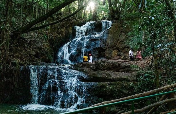 Day Tour to Karura Forest Nature Trail