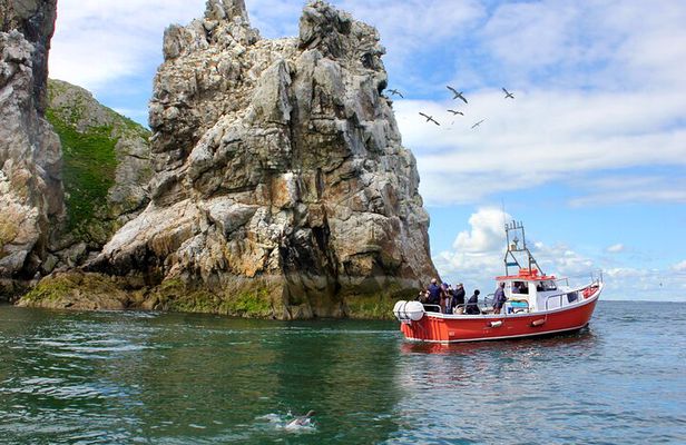 Howth Coastal Boat Tour (Ireland's Eye Ferries 50 mins trip)