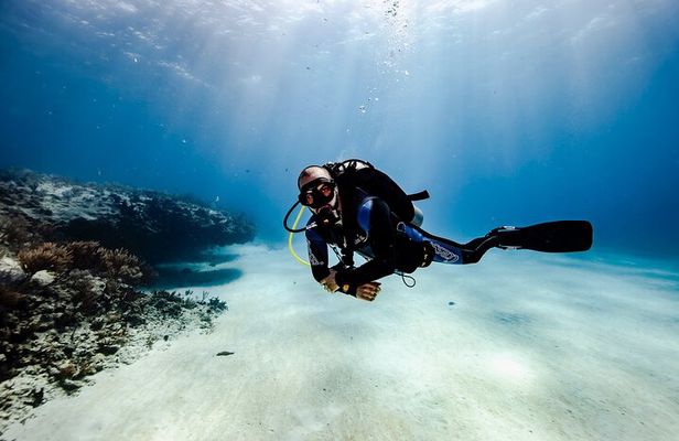 Scuba Diving in Playa del Carmen for Small Groups