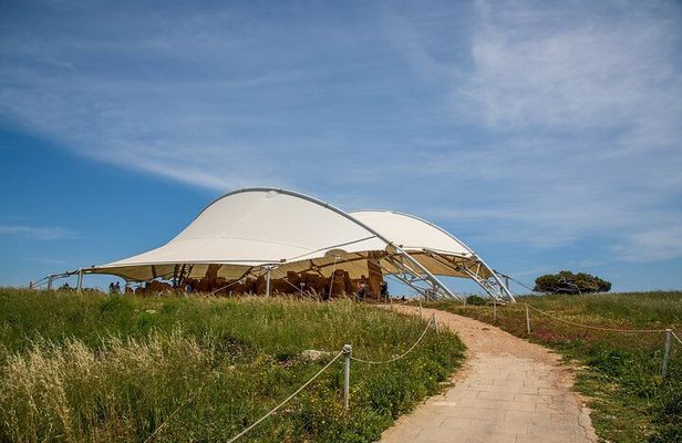 Private Tour in Malta Prehistoric Temples & Mdina