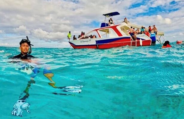 Half-Day Private Party Boat and Snorkeling in Punta Cana
