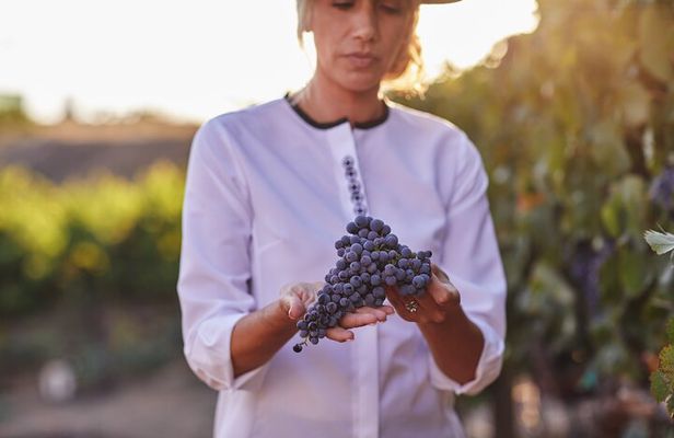 Europa Village Winery Tour