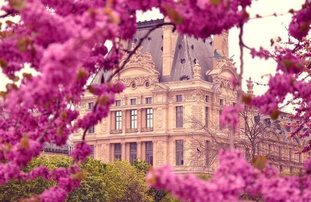 Exclusive Walking Tour of Central Paris With Local Guide