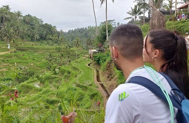 Full Day Mount Batur Sacred Monkey Forest Tour in Bali Island