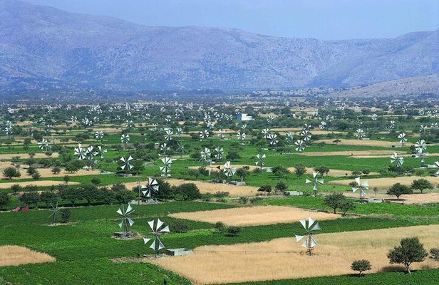 Knossos & lasithi plateau villages,Zeus's land,&olive oil factory
