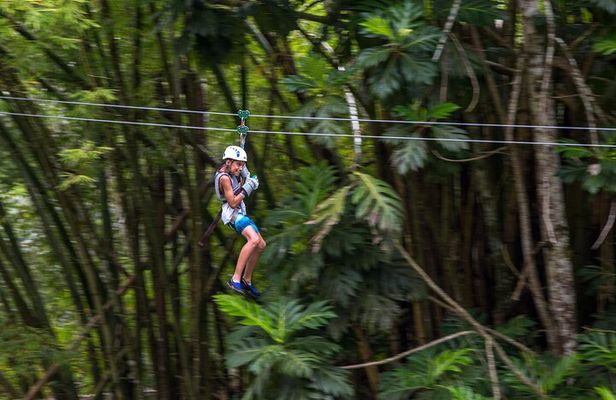 Guided Zipline and Island Gully Falls at White River 