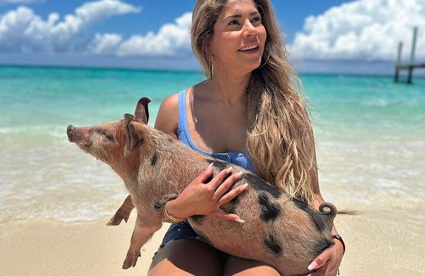 Nassau, Private Swimming Pig, Island Hopping, Snorkeling, Turtles