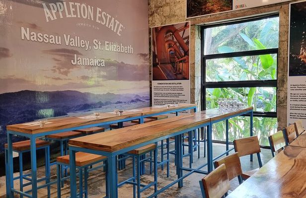 Electric Bike Ride and Appleton Tasting at Good Hope Estate