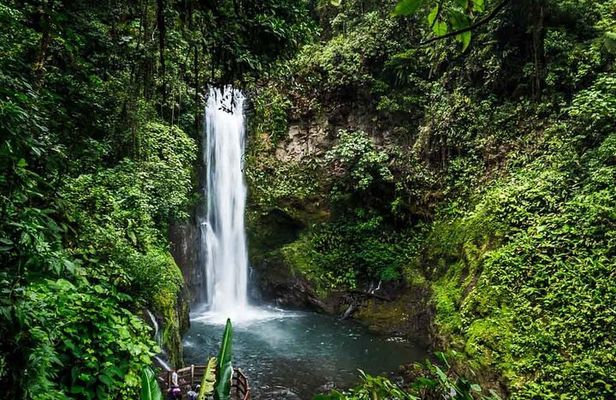 La Paz Waterfall Gardens Nature Park Full-Day Tour