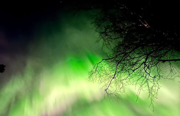 Rovaniemi: Aurora Hunting & Photography Tour