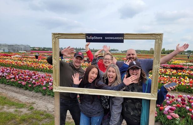 Small Group Bike Tour to Tulips Field in Lisse