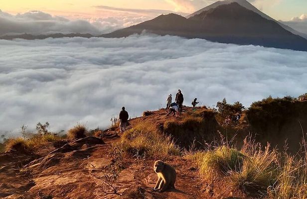 Mount Batur Hiking With Terraced paddy Field Visit