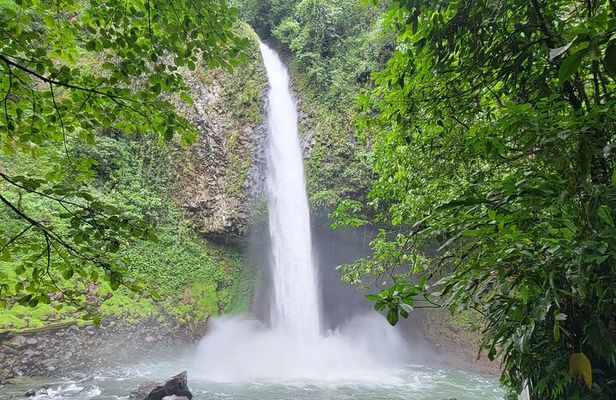 8 Days Costa Rica Rainforest & Coastal Experience for 2