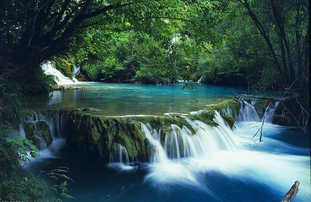 From Hue City: Private Hiking Day Trip at Bach Ma National Park