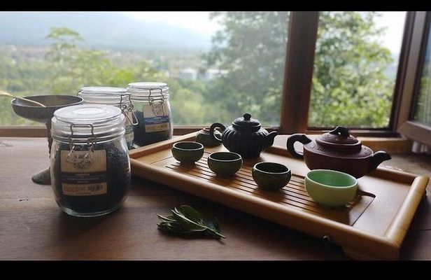 2 Hours Tea House and Tea Garden Trip in Ozurgeti Georgia