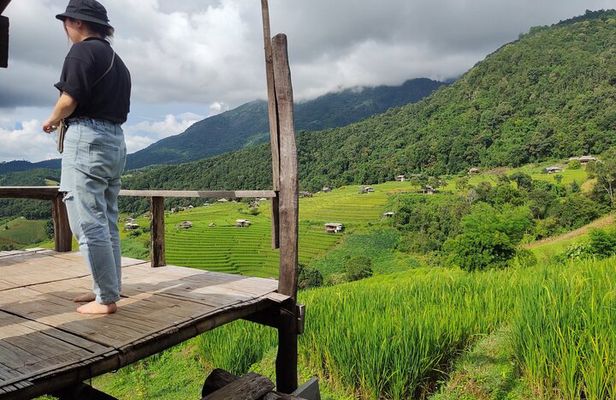 Rice fields terraces of Ban Pa Pong Piang. ( 1 day tour )