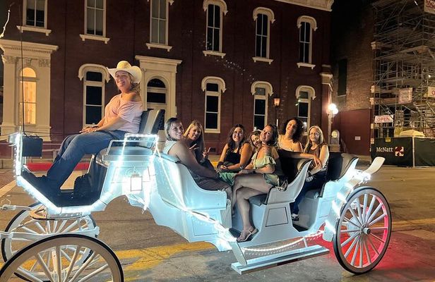 Public Group Historical Carriage Tour of Galveston