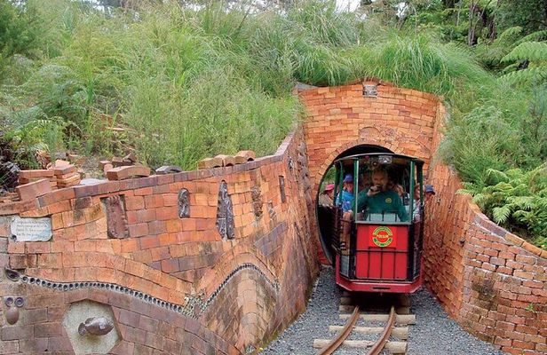 [Stevong Travel] West Coromandel Day Tour
