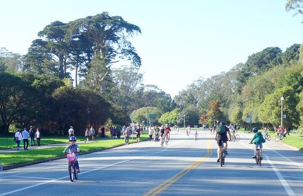Summer of Love San Francisco Guided eBike Tour Golden Gate Park