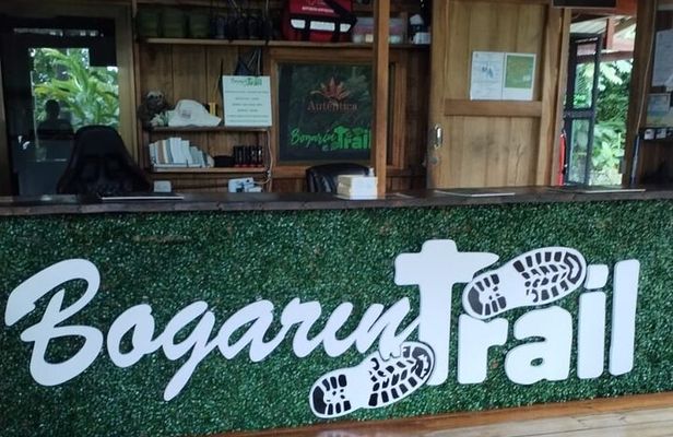 Bogarin Trail Sloth Guided Tour