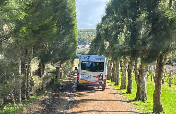 Waiheke Island Winery Tour