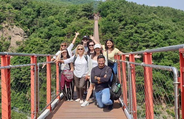 Private DMZ Tour and Suspension Bridge + Korean BBQ