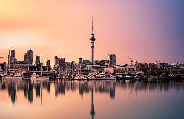 Auckland City Highlights Full Day Tour