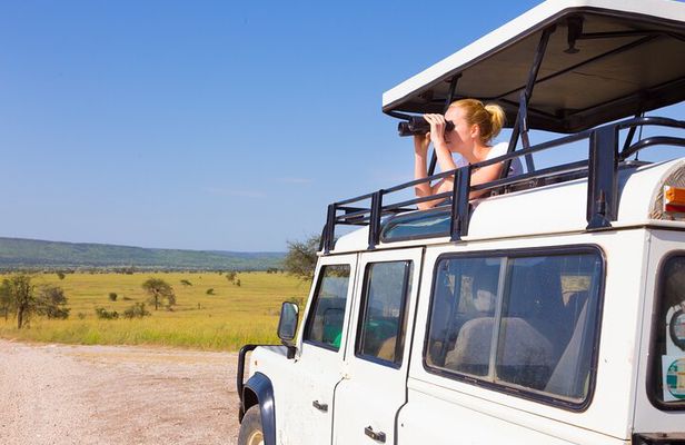 4-Day Group Safari to Tarangire, Serengeti & Ngorongoro Crater