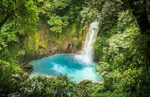 Discover Rio Celeste Labyrinth, Sloth Sanctuary & River Swim