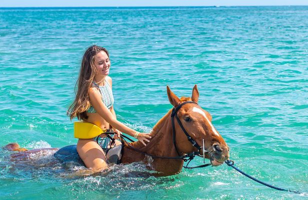 Jamaica All-Access Adventure Pass at Ocean Outpost
