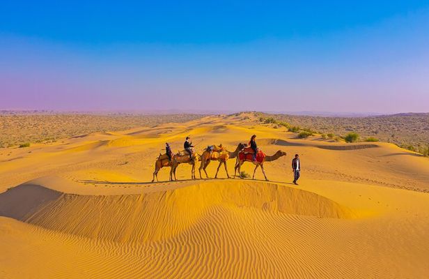 Pleasant Non-Touristic Overnight Camel Safari (From 2:00 PM to Approx. 10:30AM)