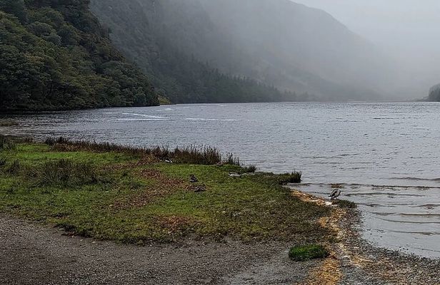 Private Tour of Wicklow, Glendalough & Powerscourt Gardens