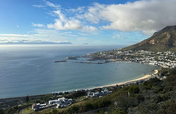 Private Tour Cape of Good Hope with Penguins