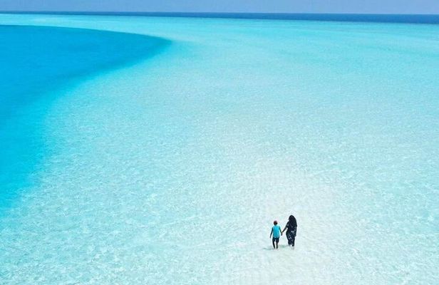 Holbox, Cenote & Two Island! + Punta Mosquito from Cancun
