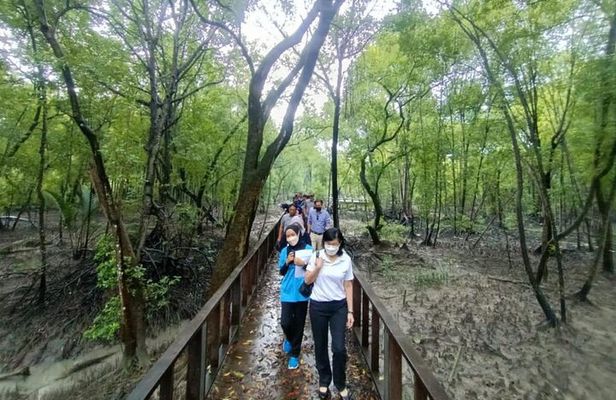 Small Group Tour to Royal Town of Klang plus Mangrove Point