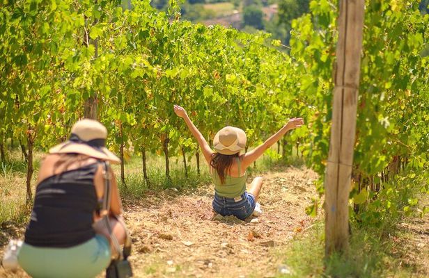 Half day Chianti Vineyard Escape from Florence with Wine Tastings