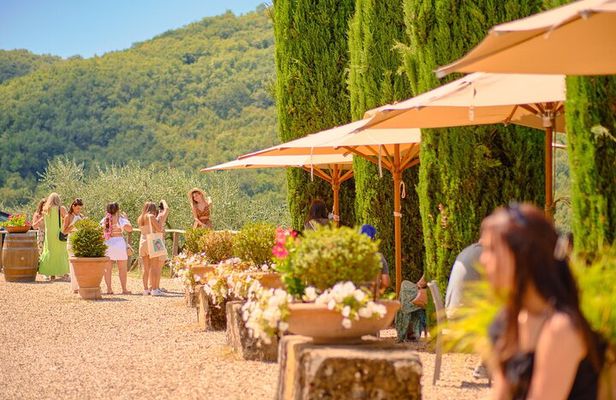 Half-day Experience to San Gimignano Hills with Picnic and Wine