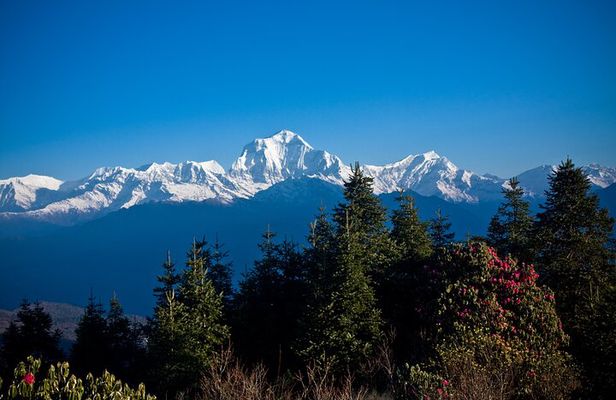 Luxury Ghorepani Poonhill Trek - 10 Days 