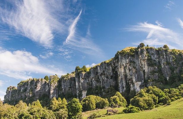12-Hour LOTR Trollshaws & Waitomo Glowworm Tour