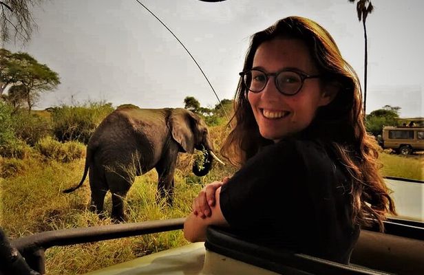 3 Days Tanzania Safari: Tarangire, Manyara and Ngorongoro Crater