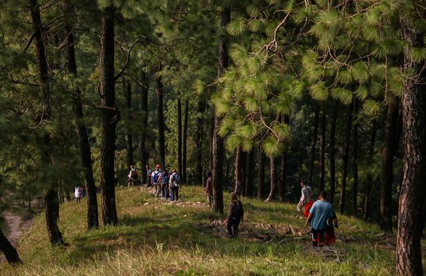 Half Day Hike to Hills and Waterfalls of Nagarkot in Nepal