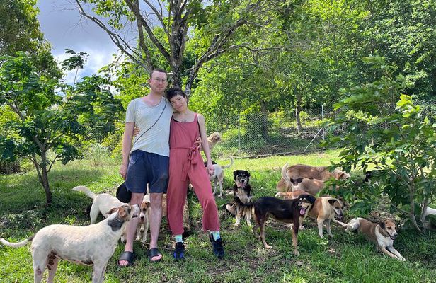 Dog Lover's guided tour of the Happy Tails Sanctuary