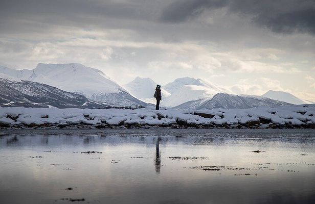 Arctic Landscapes Hiking, Sightseeing & Snowshoeing Private Tour
