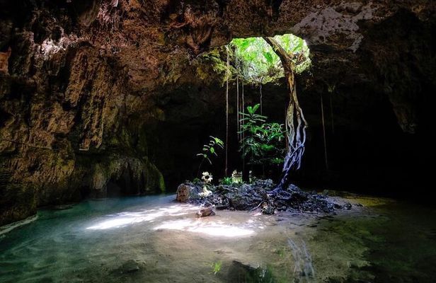 Private Tour Cenotes Sac Actun The Longest Underground River